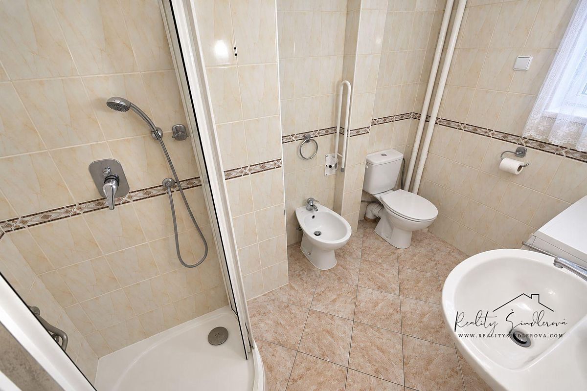 Pronájem bytu 1+1 45 m² – fotografie 4