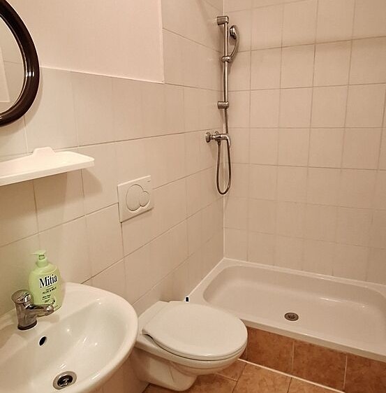 Wohnung 1+kk zur Miete, 17 m² (6 von 10)