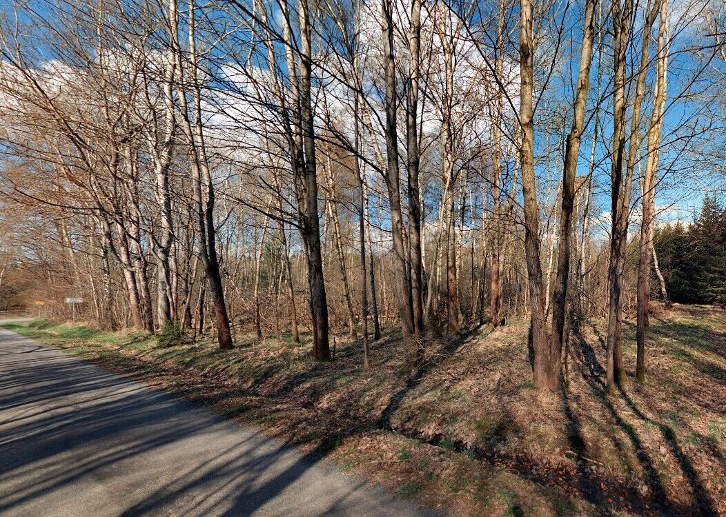 Prodej stavebního pozemku 2618 m², Rozvadov – fotka 1 z 3