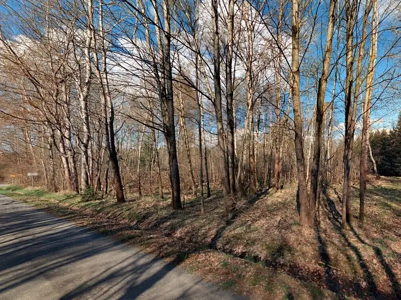 Prodej stavebního pozemku 2618 m², Rozvadov – náhled fotky 1