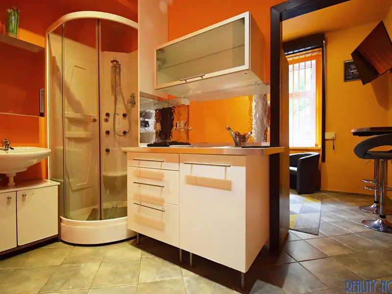Pronájem bytu 1+kk 20 m², Praha – náhled fotky 2