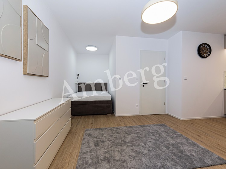 Квартира 1+kk в оренду, 32 м² (11 з 27)