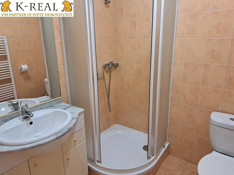 Pronájem bytu 1+kk 30 m², Jámy – náhled fotky 3