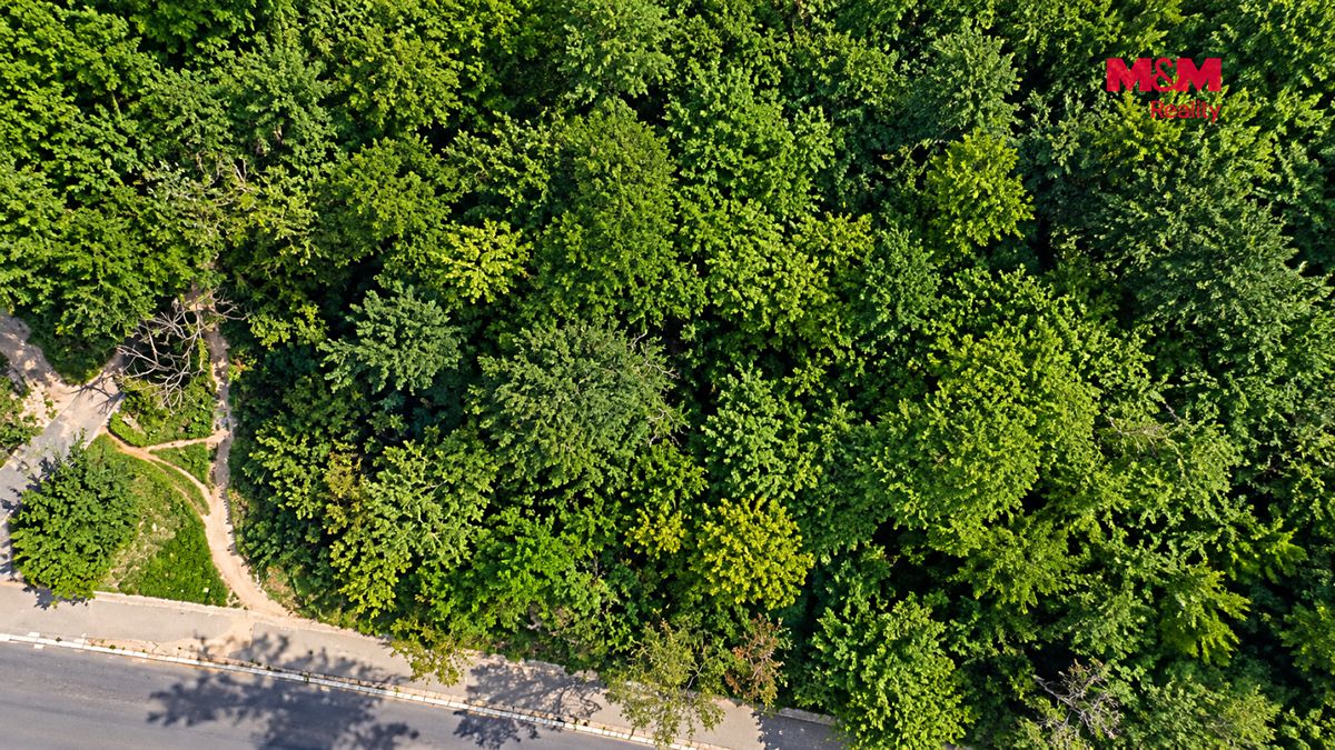 Prodej zahrady 600 m² – fotografie 5