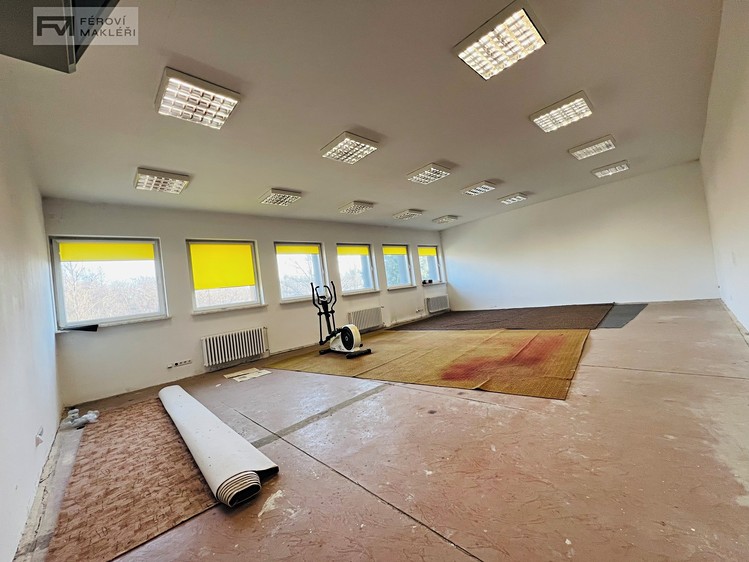 Комерційне приміщення в оренду, 1 053 м² (14 з 20)