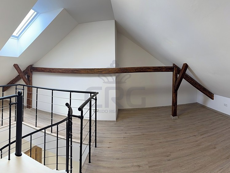 Pronájem bytu 4+kk, 111 m² (29 z 79)