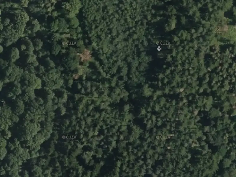 Prodej lesa 5868 m², Bystřice – náhled fotky 2