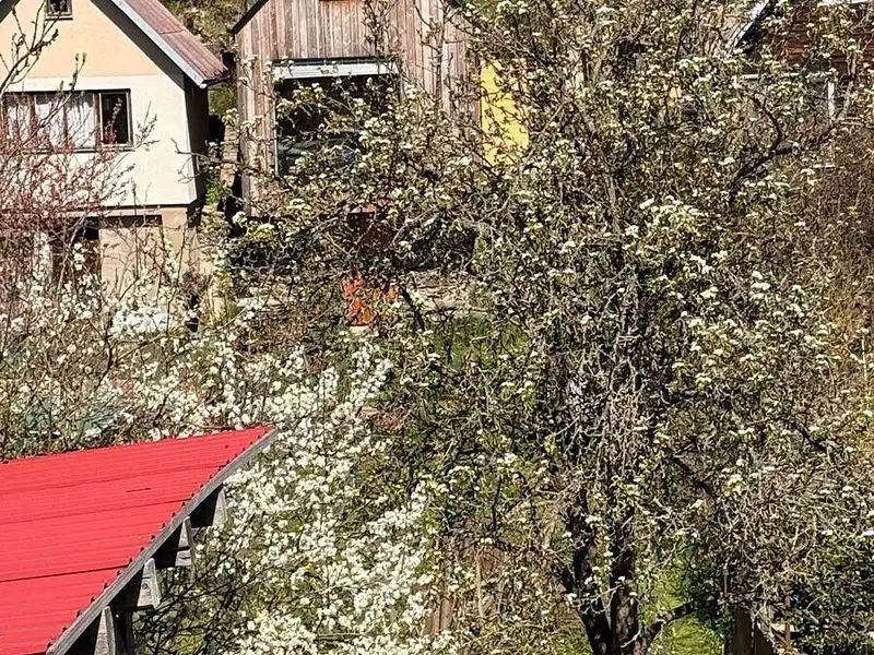 Prodej chaty 34 m², pozemek 499 m², Třebíč – náhled fotky 2