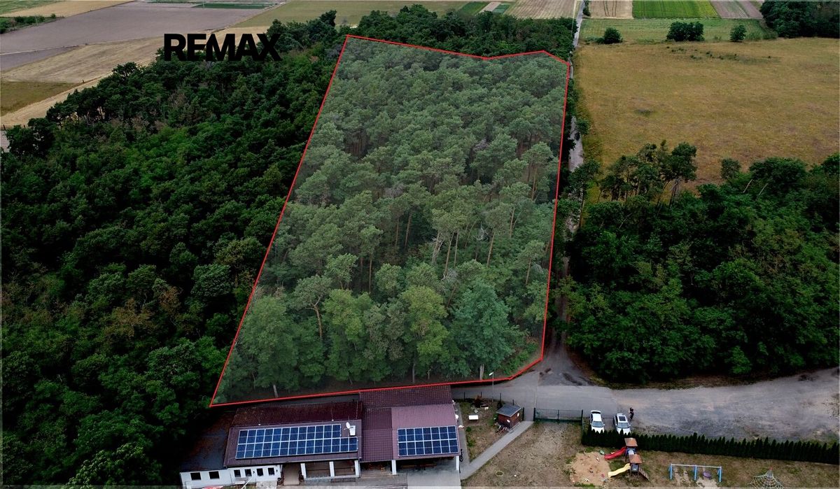 Prodej lesa 16110 m², Terezín – fotka 1 z 3