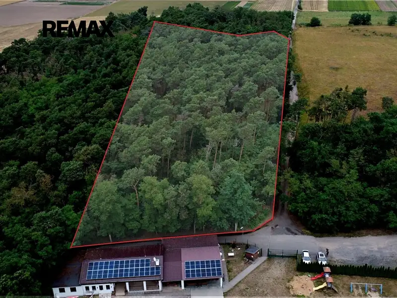 Prodej lesa 16110 m², Terezín – náhled fotky 1