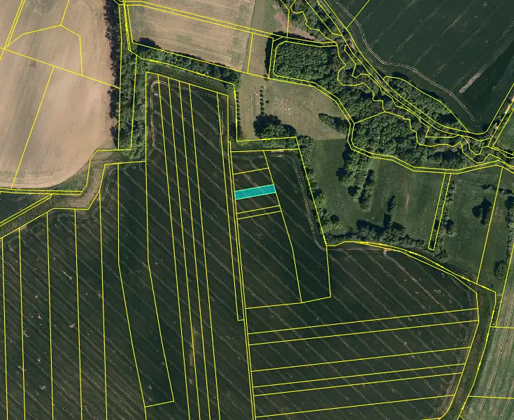 Prodej pole 2250 m², Loukov – náhled fotky 3