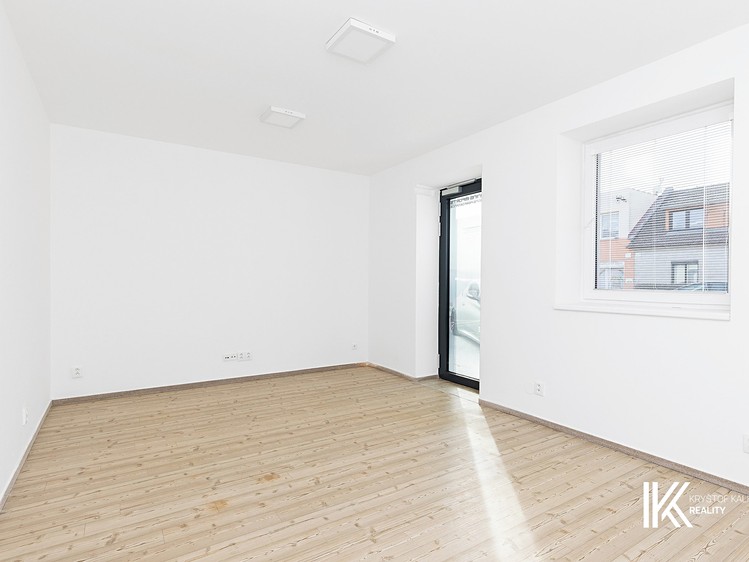 Pronájem komerčního prostoru, 131 m² (17 z 40)