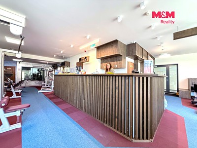 Prodej komerčního prostoru, 276 m² (2 z 13)