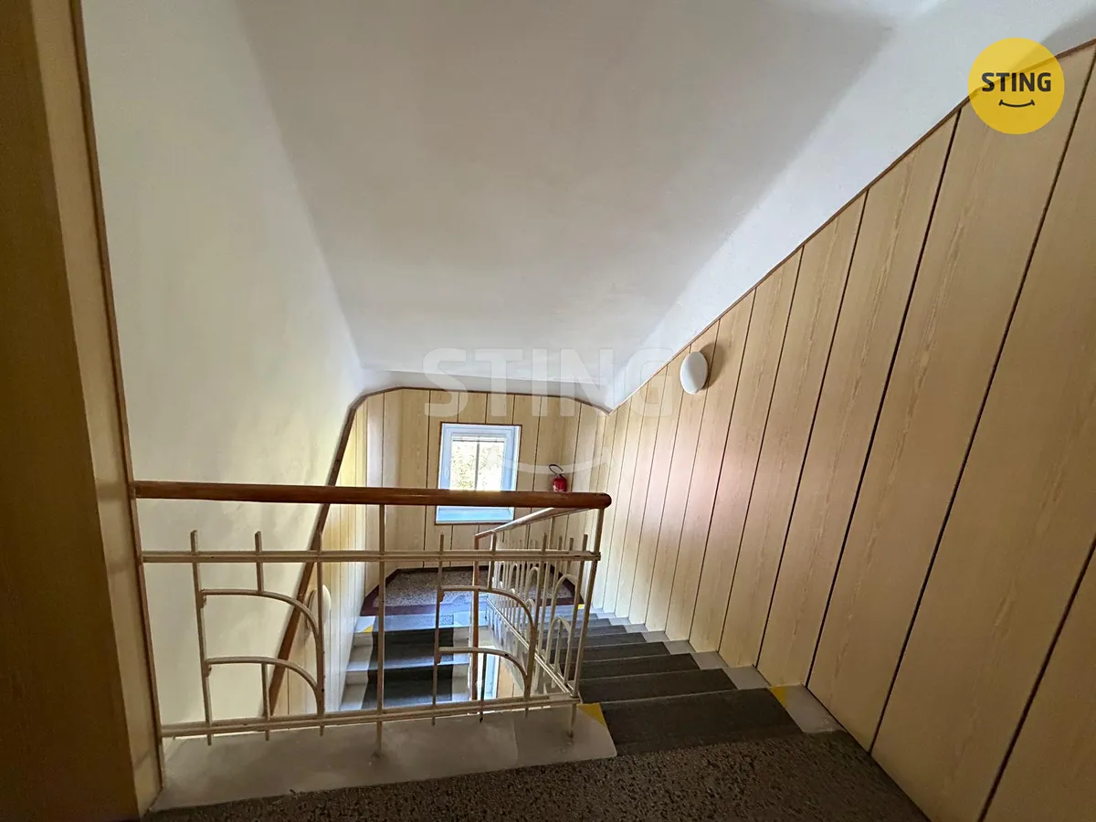 Fotka 10 z 14