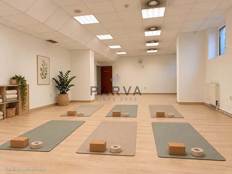 Комерційне приміщення в оренду, 150 м² (8 з 24)