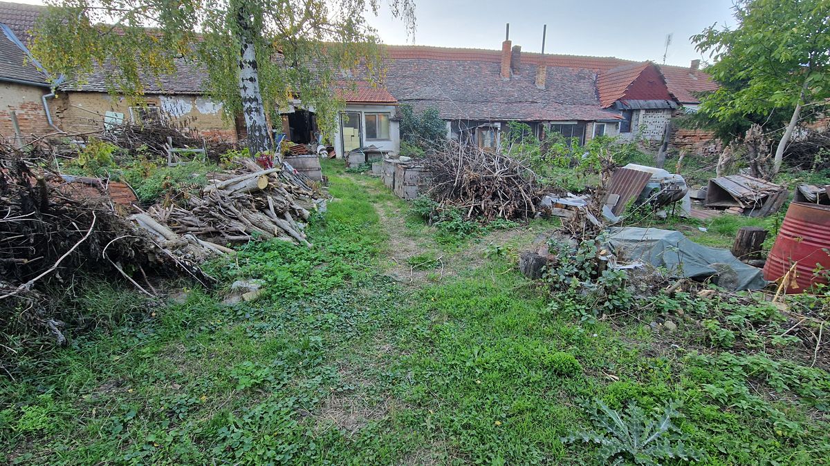 Prodej rodinného domu 200 m², pozemek 4517 m² – fotografie 4