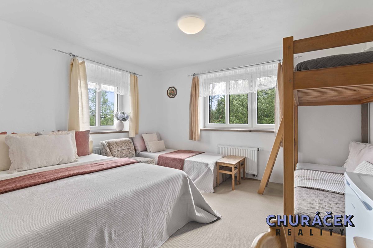 Prodej rodinného domu 280 m², pozemek 2000 m² – fotografie 4