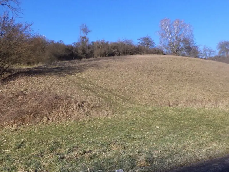 Dražba louky 3880 m², Snědovice – náhled fotky 1