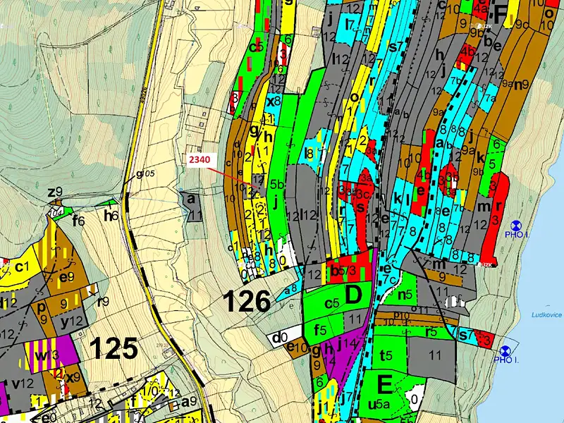 Dražba lesa 10351 m², Ludkovice – náhled fotky 3