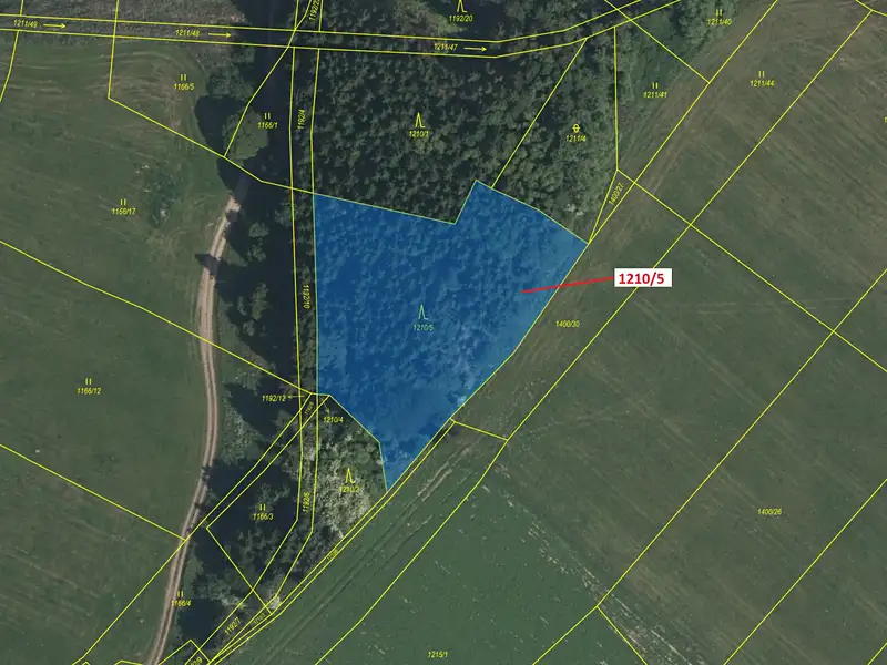 Dražba lesa 3832 m², Volfířov – náhled fotky 2
