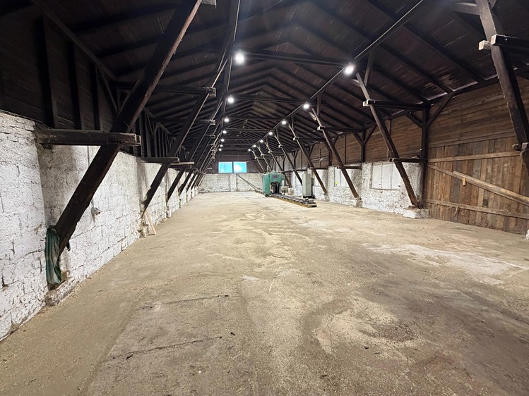 Gewerbefläche zur Miete, 520 m² (4 von 9)