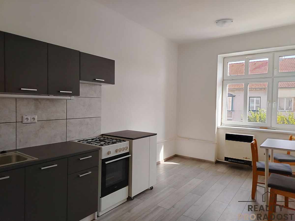 Pronájem bytu 1+1 42 m²