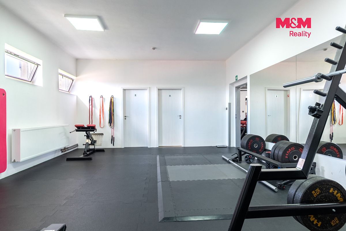 Prodej obchodního prostoru 340 m² – fotografie 4