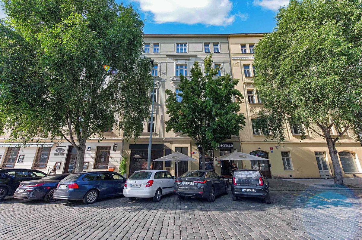 Pronájem obchodního prostoru 220 m² – fotografie 3