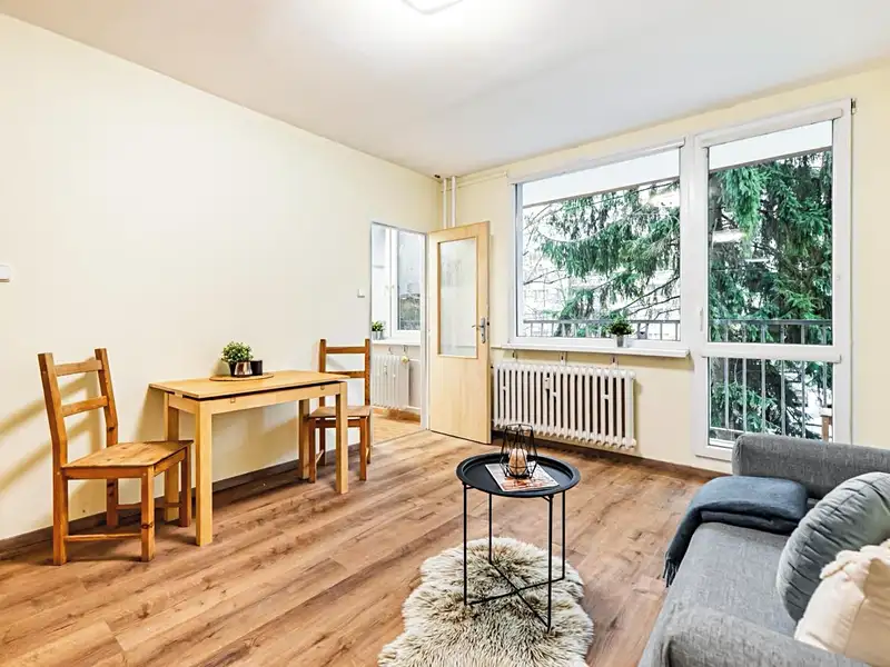 Pronájem bytu 1+1 35 m², Praha – náhled fotky 1