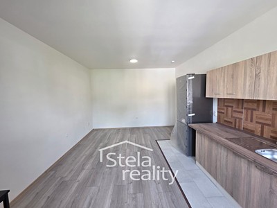 Pronájem bytu 1+kk, 45 m² (3 z 7)