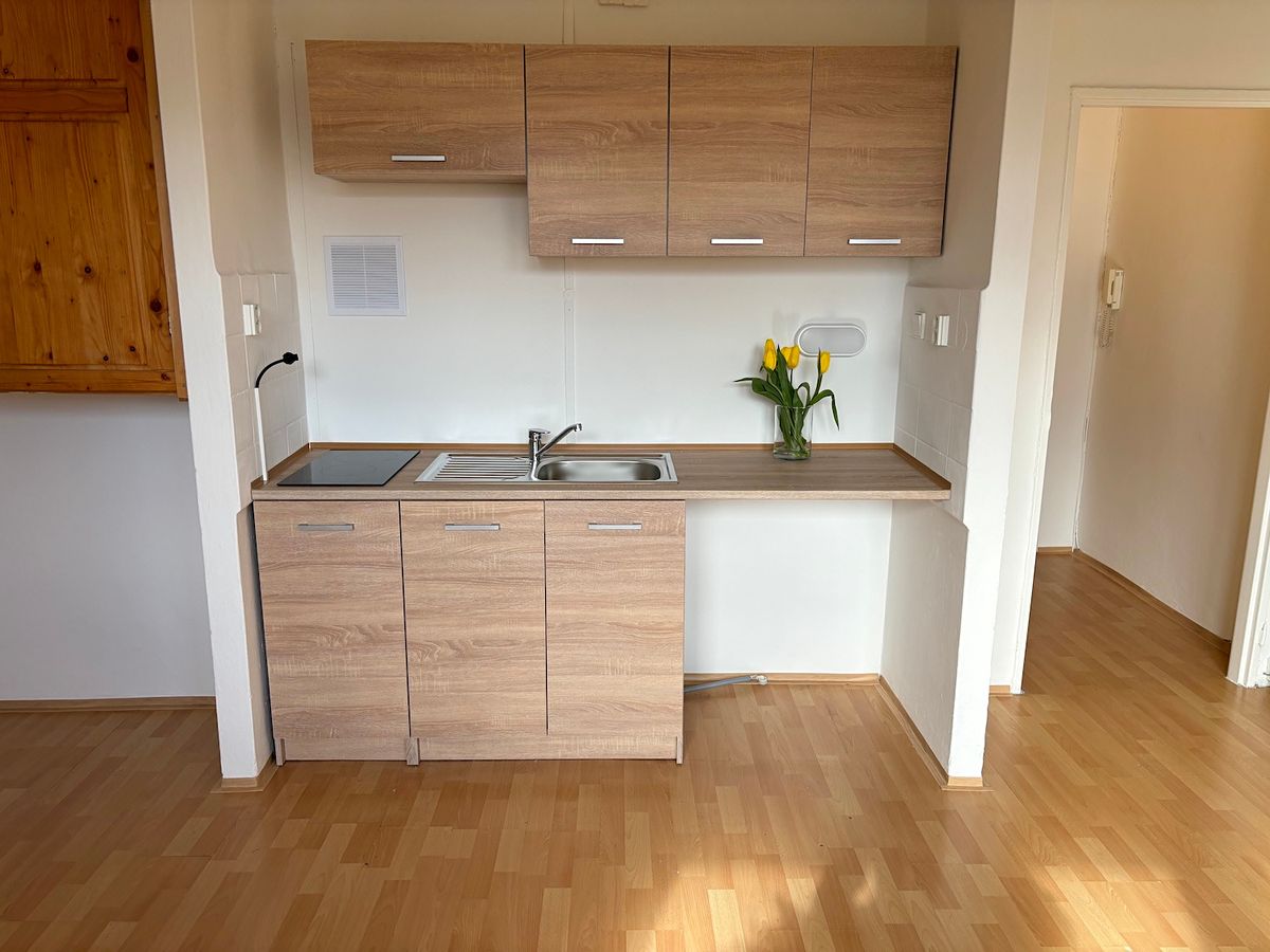 Pronájem bytu 1+kk 29 m² – fotografie 4