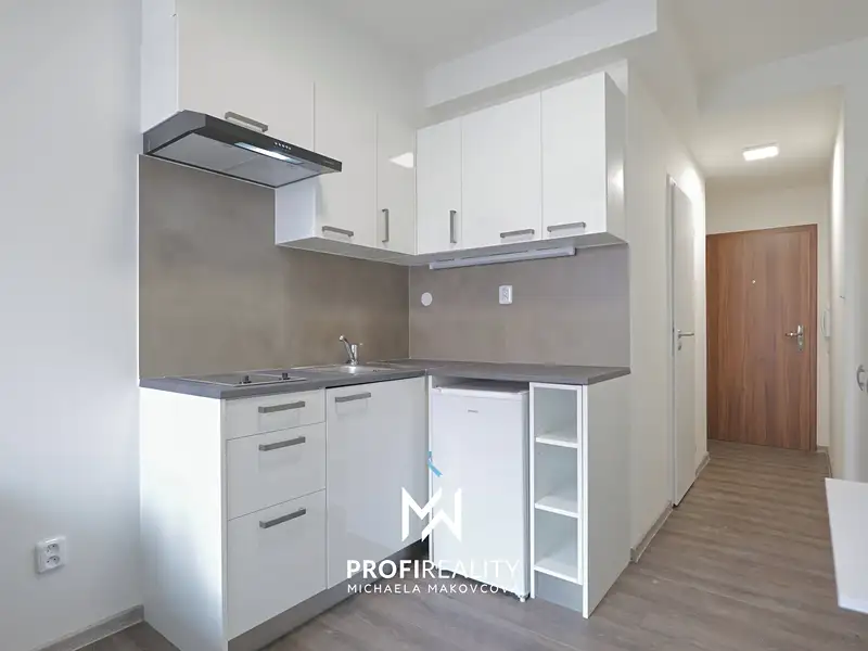 Pronájem bytu 1+kk 18 m², Praha – náhled fotky 3
