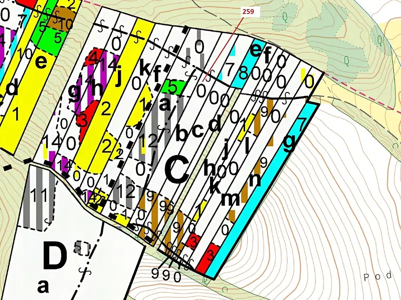 Dražba lesa 6645 m², Vícenice – náhled fotky 3