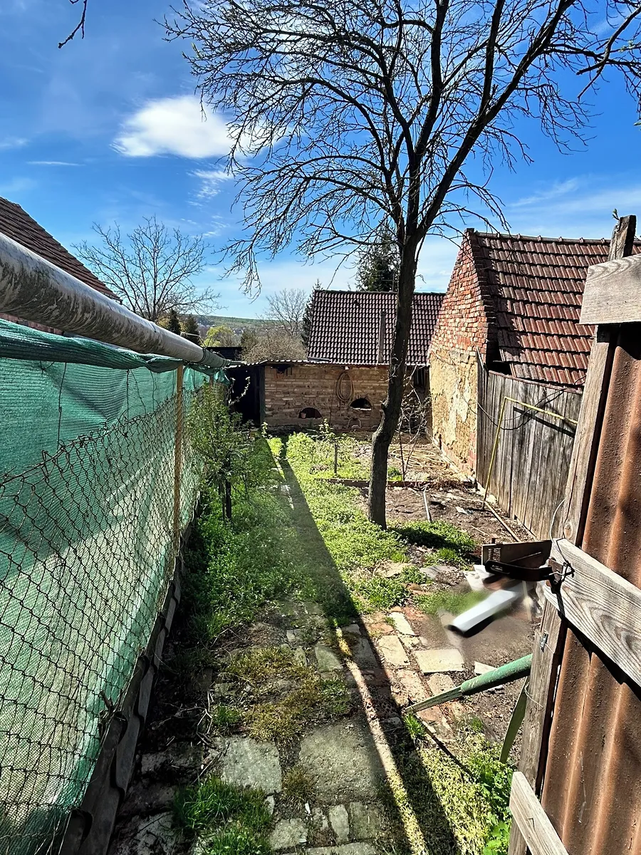Fotka 10 z 17