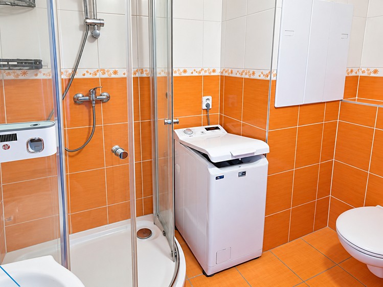 Prodej bytu 3+1, 55 m² (13 z 19)