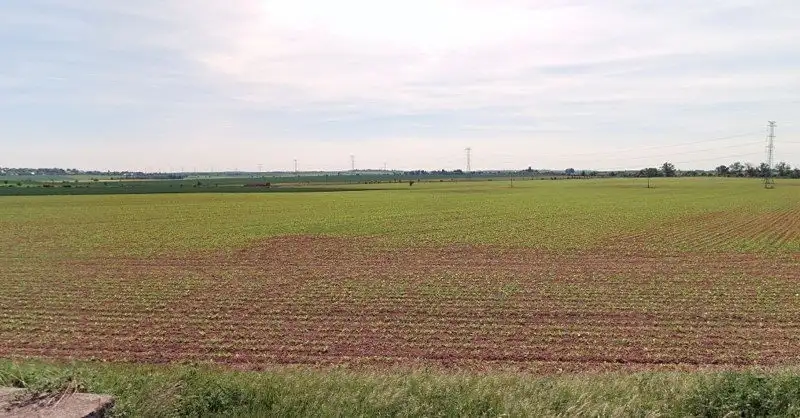 Prodej pole 17648 m², Zdětín – náhled fotky 2