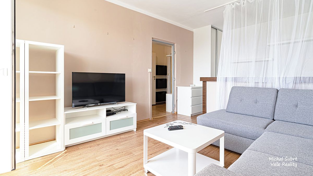 Pronájem bytu 1+1 46 m² – fotografie 3