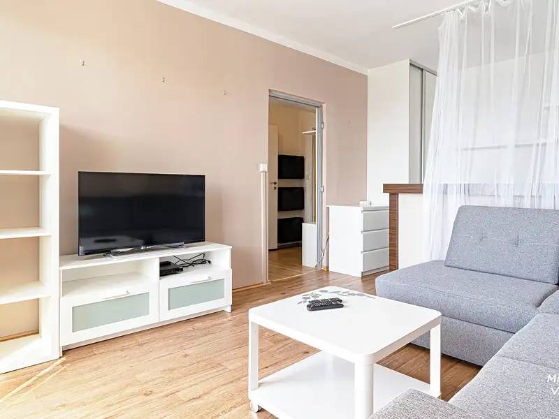 Pronájem bytu 1+1 46 m², Hradec Králové – náhled fotky 3