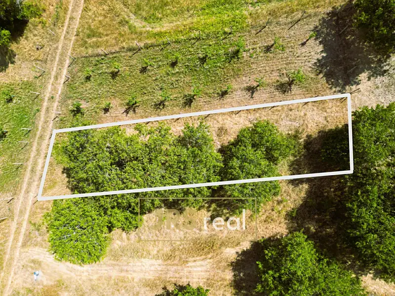 Prodej sadu, vinice 358 m², Němčičky – náhled fotky 3