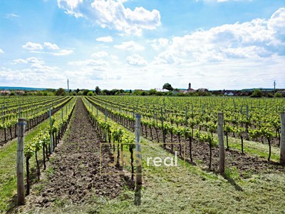 Prodej pozemku, 3 474 m² (2 z 9)