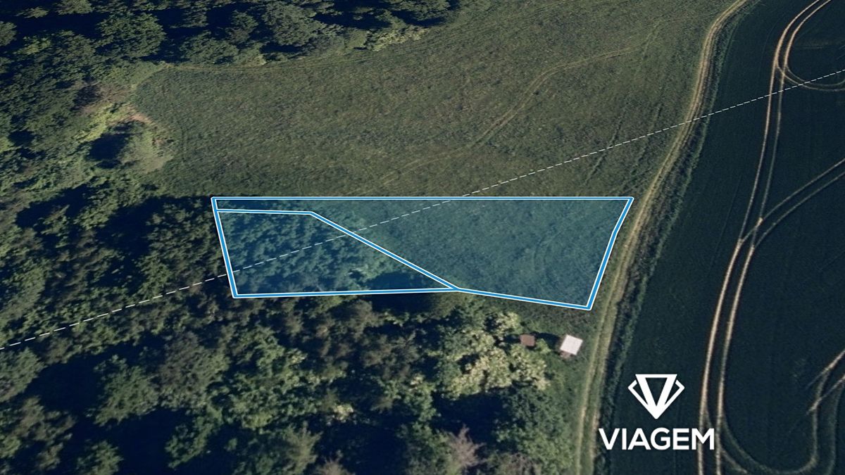 Prodej pole 1538 m² – fotografie 2