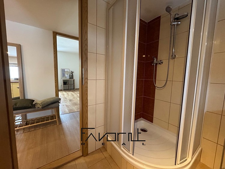 Pronájem bytu 1+1, 53 m² (9 z 11)