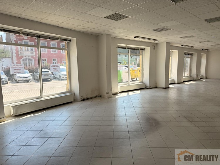 Prodej komerčního prostoru, 300 m² (9 z 16)