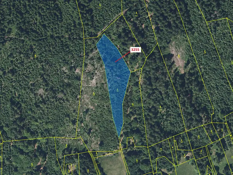 Dražba lesa 6125 m², Velké Hamry – náhled fotky 2