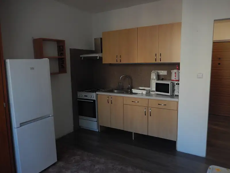Pronájem bytu 1+1 38 m², Klatovy – náhled fotky 3