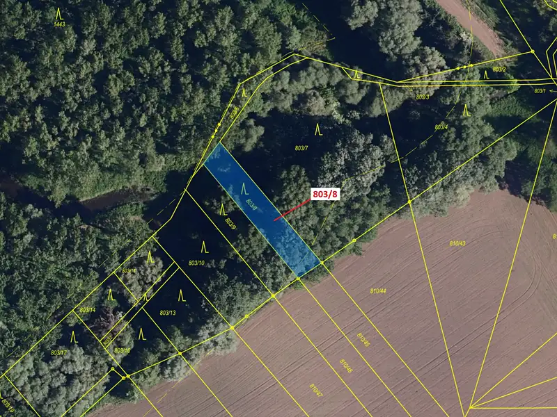 Dražba lesa 574 m², Přísnotice – náhled fotky 2