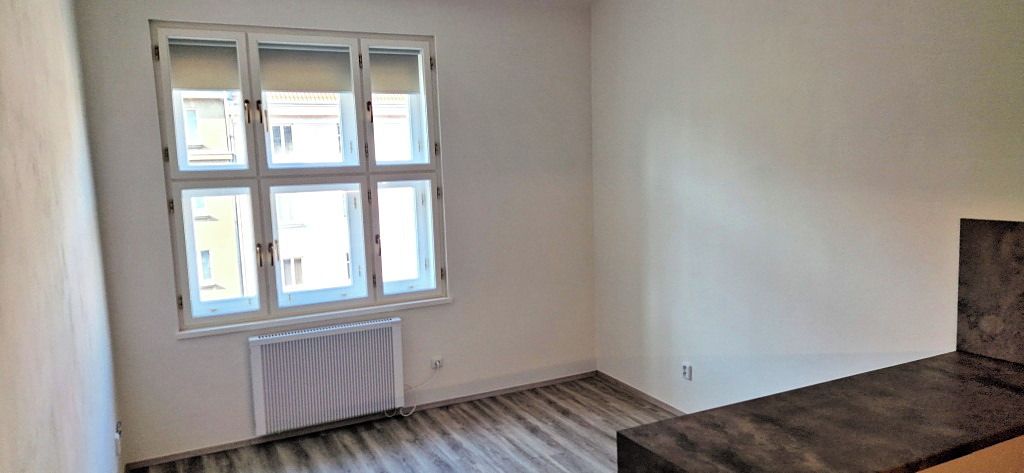 Pronájem bytu 1+1 45 m² – fotografie 3