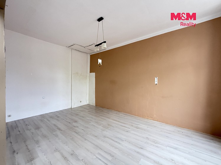 Prodej komerčního prostoru, 525 m² (4 z 15)