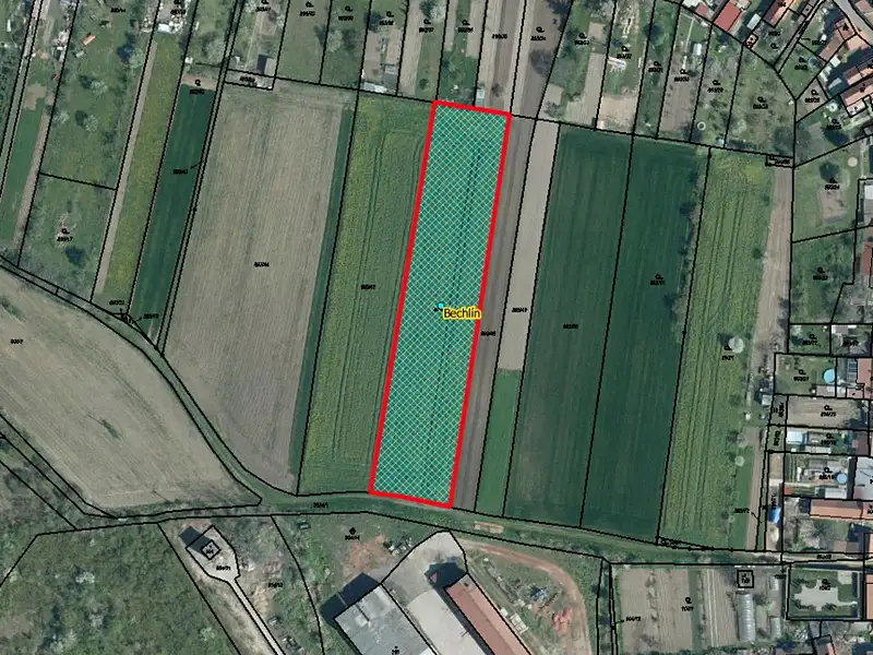 Prodej zahrady 4969 m², Bechlín – náhled fotky 1