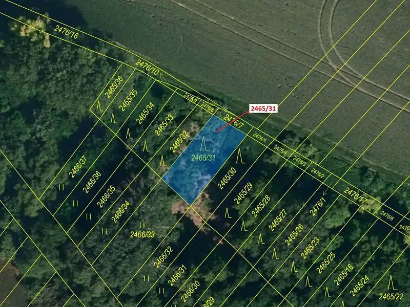 Dražba lesa 263 m², Horní Dunajovice – náhled fotky 2
